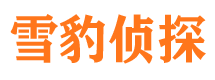 沿滩市侦探调查公司